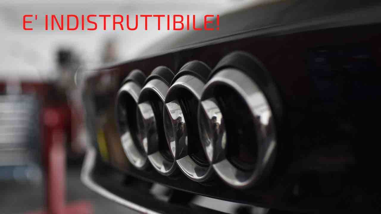 Audi Canva 8_11_22 Fuoristrada