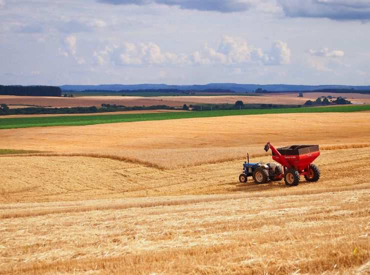 Arrivato il futuro dell'agricoltura