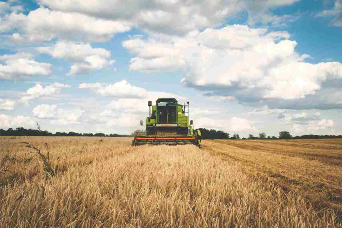 Arrivato il futuro dell'agricoltura