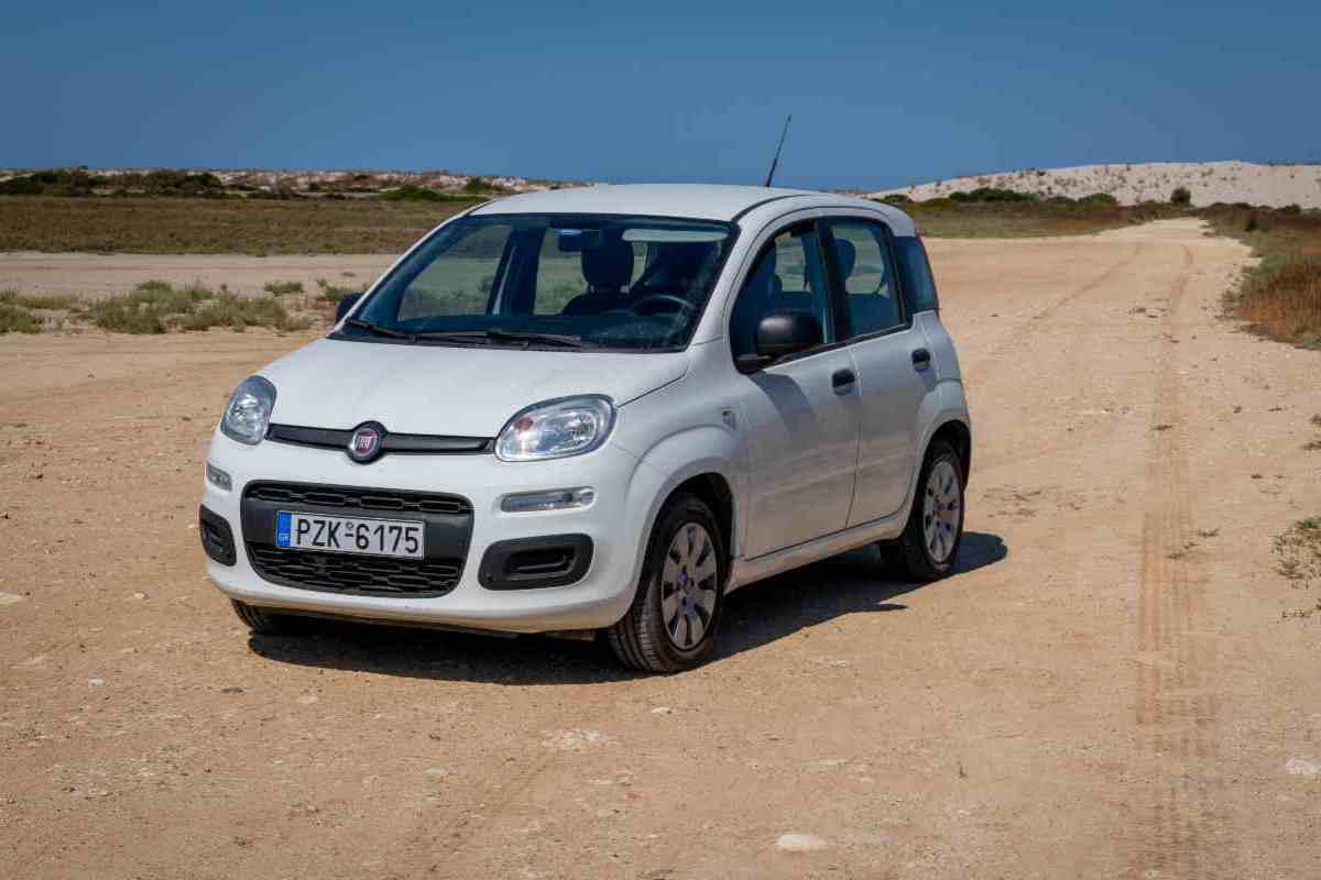 fiat panda vendite