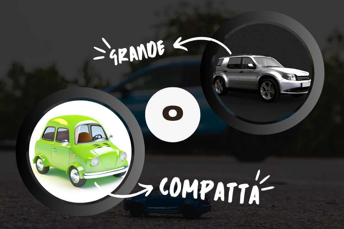 Big or compact?  The choice reveals your personality