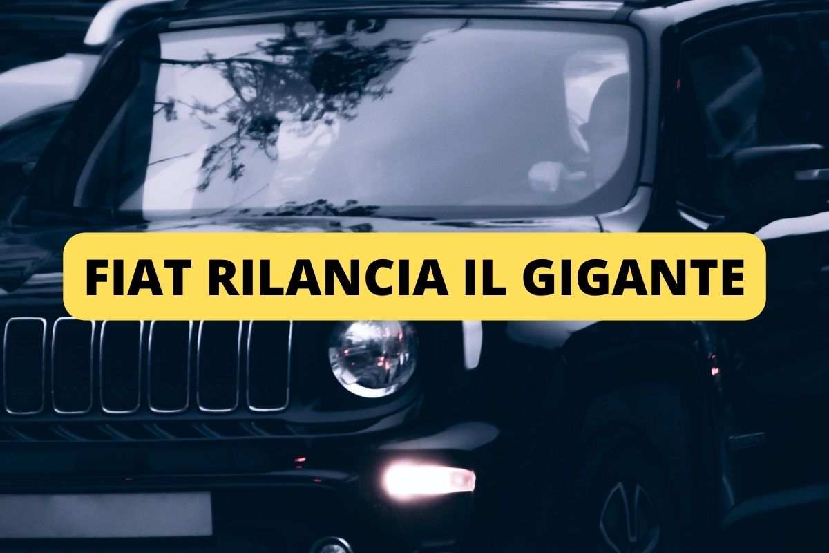 fiat campagnola progetto d'amico