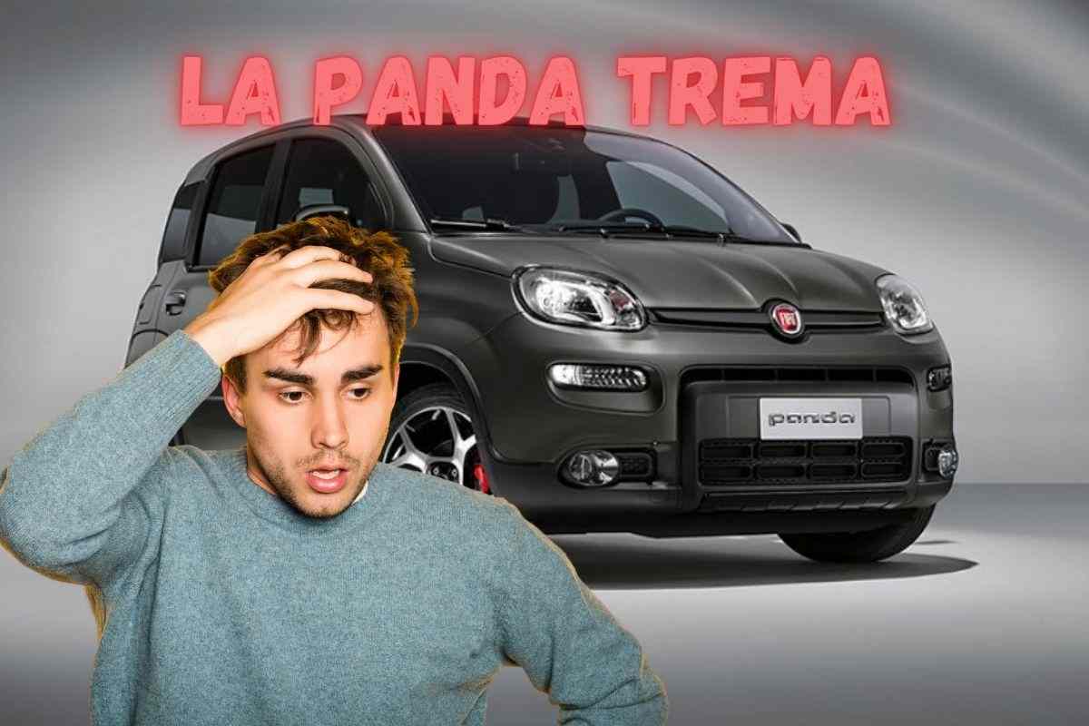 Preoccupazioni per la Panda