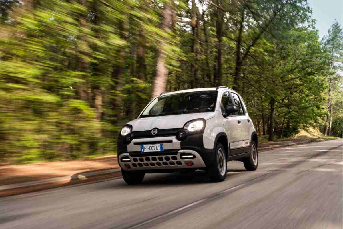 fiat panda cina