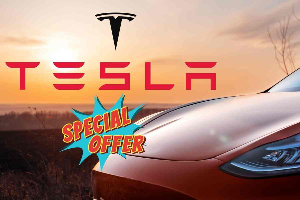 tesla modello economico