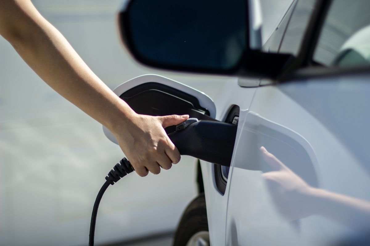 Auto elettriche il marchio rinuncia