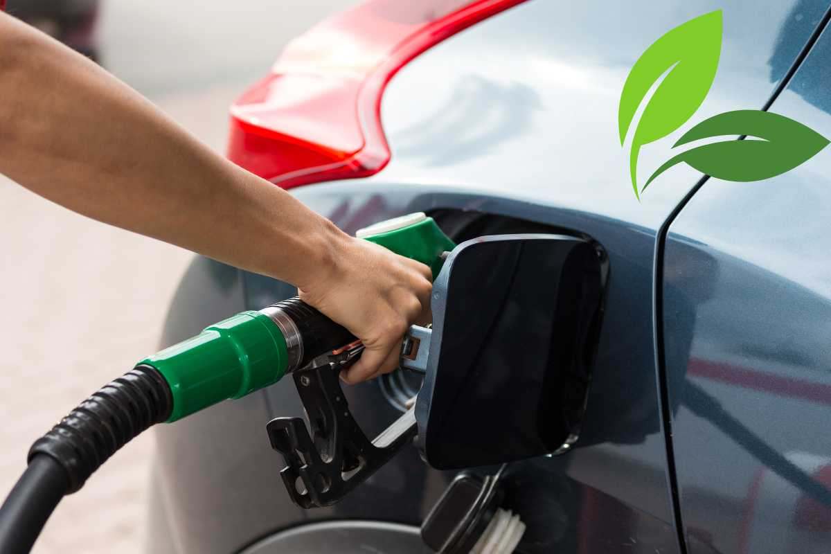 Le auto termiche sopravvivranno